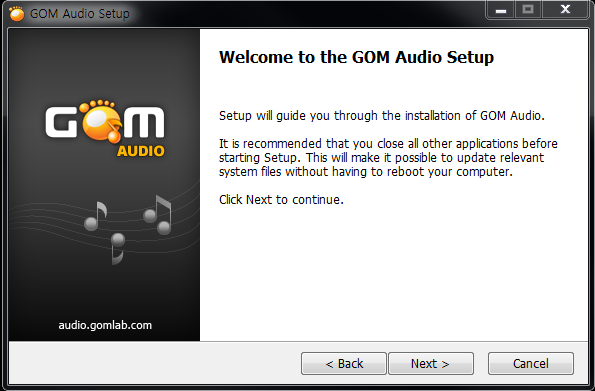 GOM Audio installation window 1