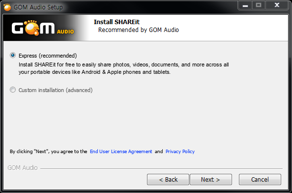 GOM Audio installation window 4